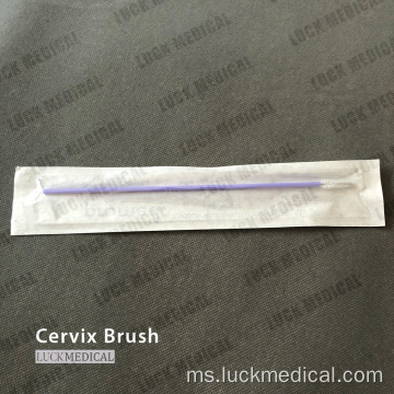 Berus Cervical Sterile Cytobrush Pap smear